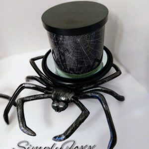 Spider Candle holder